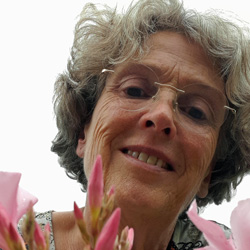 Tineke van Noorden-van Lith